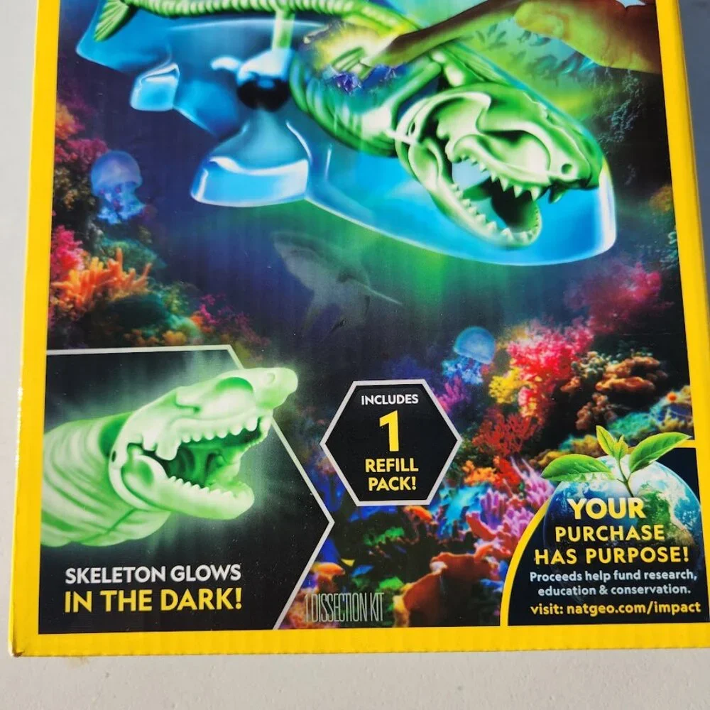 National Geographic Shark Dissection Kit Glow in The Dark Great White Shark Anat